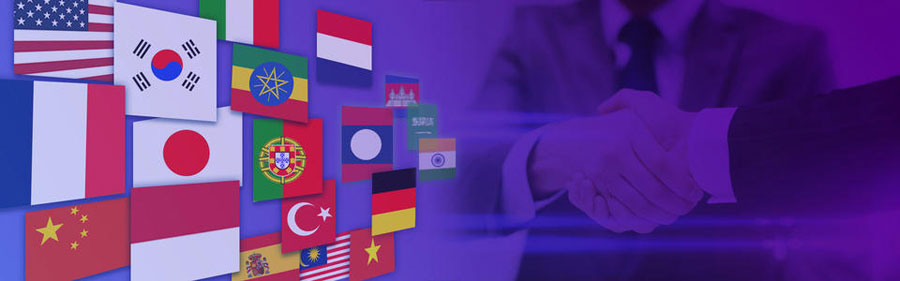 岳阳小语种网站建设  第2张